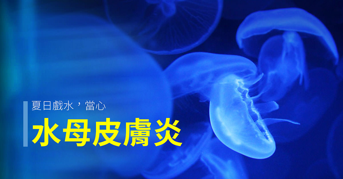 jellyfish_dermatitis, 水母皮膚炎